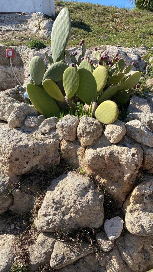 Trullo Elvira & Luigi Villa Monopoli Luaran gambar